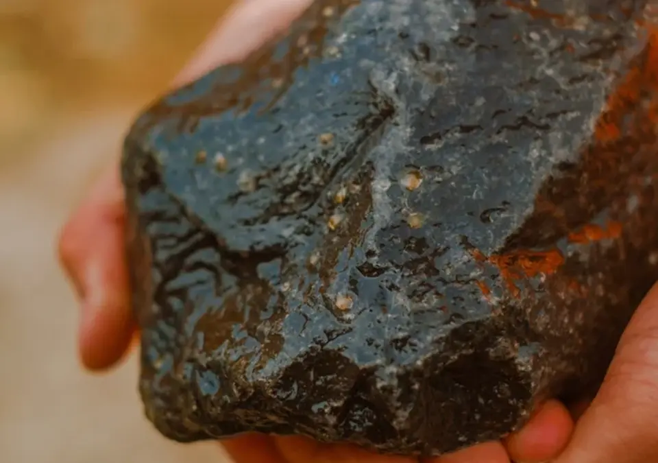 Oesterproject in Amaliahaven